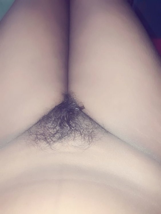 IMG223.jpg
